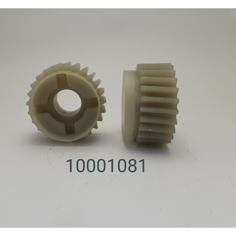 10001081